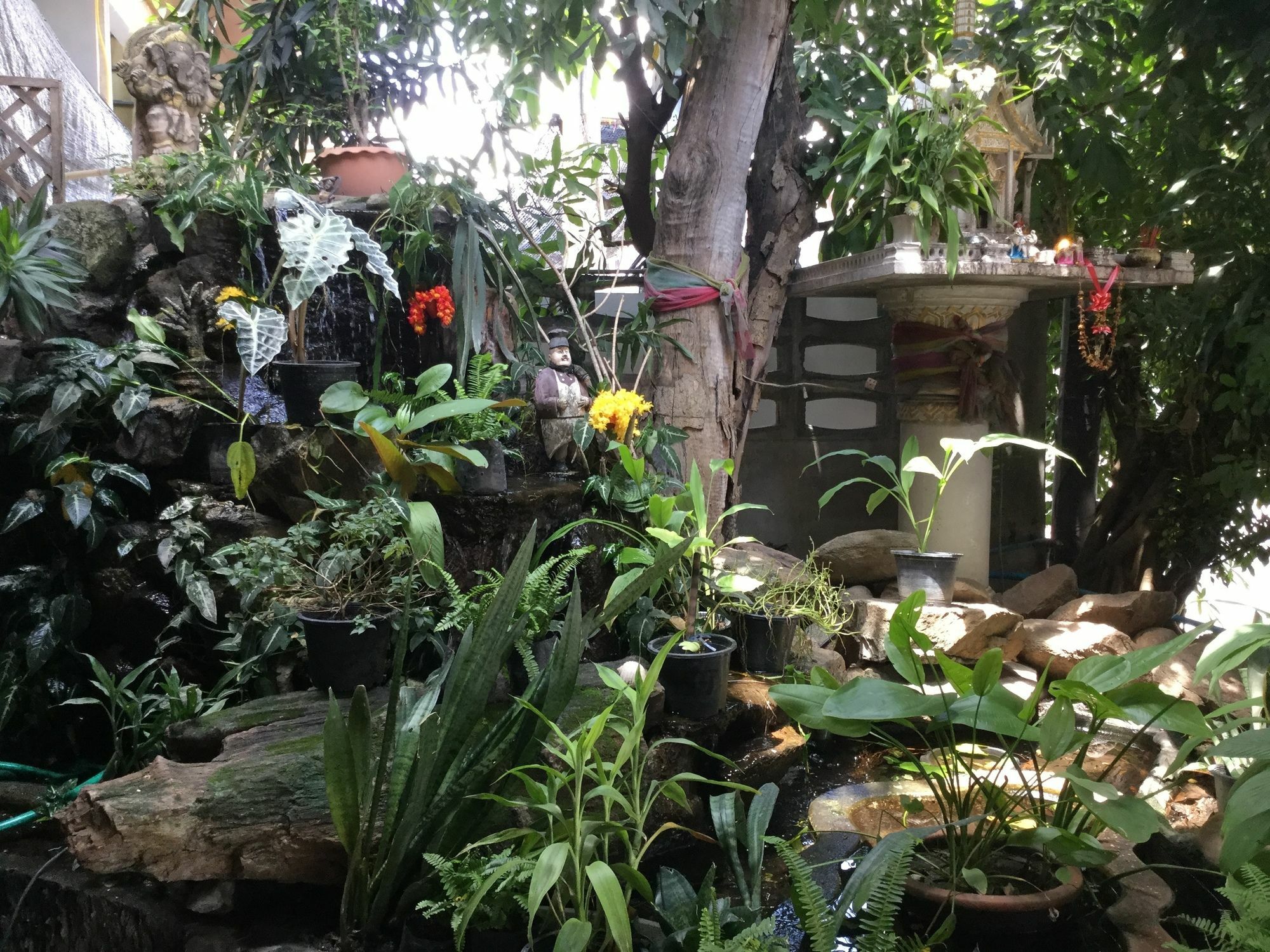 Rose Guest House Chiang Mai Exterior photo